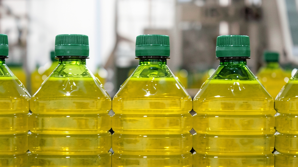 Botellas de aceite de oliva envasadas en una línea de producción industrial.